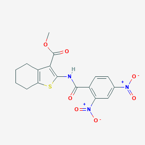 molecular formula C17H15N3O7S B336753 Methyl 2-({2,4-bisnitrobenzoyl}amino)-4,5,6,7-tetrahydro-1-benzothiophene-3-carboxylate 