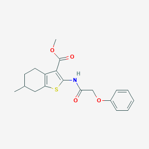 molecular formula C19H21NO4S B336755 Methyl 6-methyl-2-[(phenoxyacetyl)amino]-4,5,6,7-tetrahydro-1-benzothiophene-3-carboxylate 