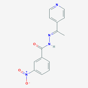 molecular formula C14H12N4O3 B336765 3-nitro-N'-[1-(4-pyridinyl)ethylidene]benzohydrazide 