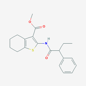Methyl 2-[(2-phenylbutanoyl)amino]-4,5,6,7-tetrahydro-1-benzothiophene-3-carboxylate