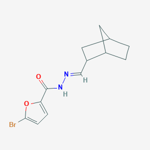molecular formula C13H15BrN2O2 B336825 N'-(bicyclo[2.2.1]hept-2-ylmethylene)-5-bromo-2-furohydrazide 