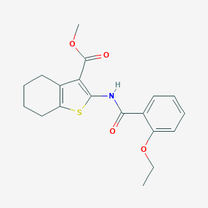 molecular formula C19H21NO4S B336844 Methyl 2-[(2-ethoxybenzoyl)amino]-4,5,6,7-tetrahydro-1-benzothiophene-3-carboxylate 