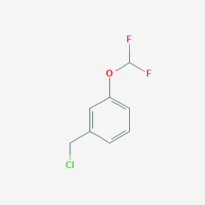 molecular formula C8H7ClF2O B3370516 1-(氯甲基)-3-(二氟甲氧基)苯 CAS No. 42145-45-9