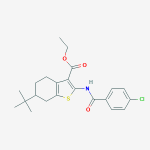 molecular formula C22H26ClNO3S B337080 Ethyl 6-tert-butyl-2-[(4-chlorobenzoyl)amino]-4,5,6,7-tetrahydro-1-benzothiophene-3-carboxylate 