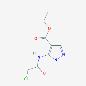 molecular formula C9H12ClN3O3 B3371847 ethyl 5-(2-chloroacetamido)-1-methyl-1H-pyrazole-4-carboxylate CAS No. 81679-07-4