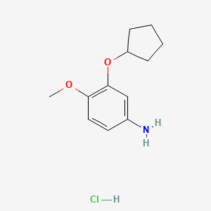 molecular formula C12H18ClNO2 B3371882 3-(Cyclopentyloxy)-4-methoxyaniline hydrochloride CAS No. 844873-52-5