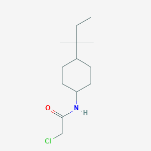 molecular formula C13H24ClNO B3372142 2-chloro-N-[4-(2-methylbutan-2-yl)cyclohexyl]acetamide CAS No. 874623-19-5