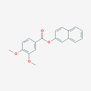 molecular formula C19H16O4 B337293 Naphthalen-2-yl 3,4-dimethoxybenzoate 