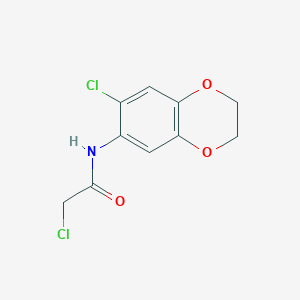 molecular formula C10H9Cl2NO3 B3372973 2-氯-N-(7-氯-2,3-二氢-1,4-苯并二氧杂环-6-基)乙酰胺 CAS No. 941055-93-2
