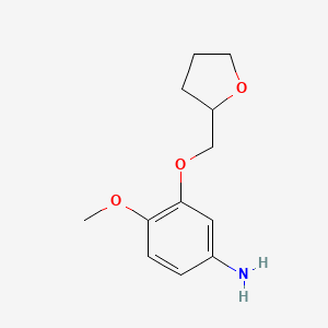 molecular formula C12H17NO3 B3373197 4-Methoxy-3-(oxolan-2-ylmethoxy)aniline CAS No. 954254-06-9