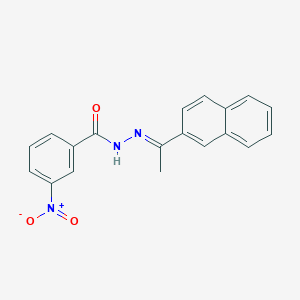 molecular formula C19H15N3O3 B337471 3-nitro-N'-[1-(2-naphthyl)ethylidene]benzohydrazide 