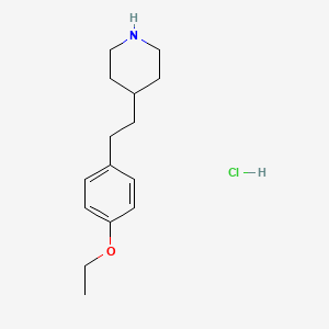 molecular formula C15H24ClNO B3374923 4-[2-(4-Ethoxyphenyl)ethyl]piperidine hydrochloride CAS No. 1049722-82-8