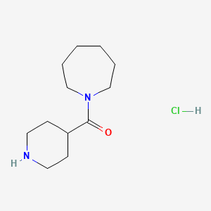 molecular formula C12H23ClN2O B3374931 1-(哌啶-4-基羰基)氮杂环烷盐酸盐 CAS No. 1049723-07-0