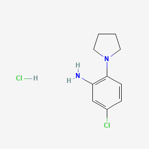 molecular formula C10H14Cl2N2 B3375034 5-Chloro-2-(pyrrolidin-1-yl)aniline hydrochloride CAS No. 1052547-63-3