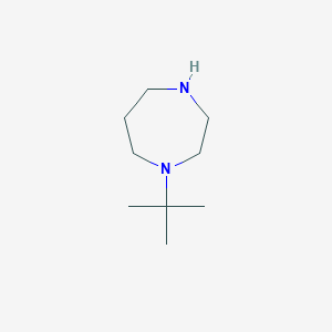 molecular formula C9H20N2 B3376679 1-叔丁基-1,4-二氮杂环戊烷 CAS No. 1221722-15-1