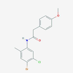 molecular formula C16H15BrClNO2 B337711 N-(4-bromo-5-chloro-2-methylphenyl)-2-(4-methoxyphenyl)acetamide 