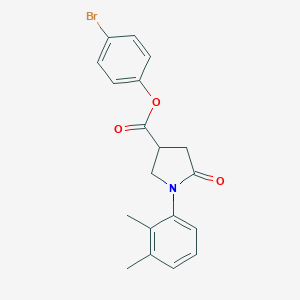 molecular formula C19H18BrNO3 B337792 4-Bromophenyl 1-(2,3-dimethylphenyl)-5-oxo-3-pyrrolidinecarboxylate 