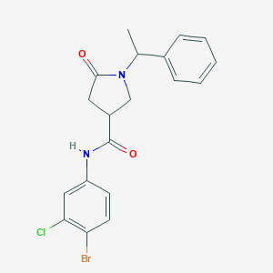 molecular formula C19H18BrClN2O2 B337937 N-(4-bromo-3-chlorophenyl)-5-oxo-1-(1-phenylethyl)-3-pyrrolidinecarboxamide 
