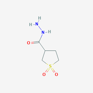 Tetrahydrothiophene-3-carbohydrazide 1,1-dioxide