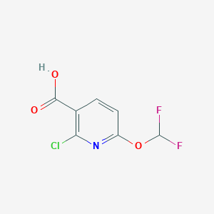 molecular formula C7H4ClF2NO3 B3380038 2-Chloro-6-(difluoromethoxy)nicotinic acid CAS No. 1805519-37-2