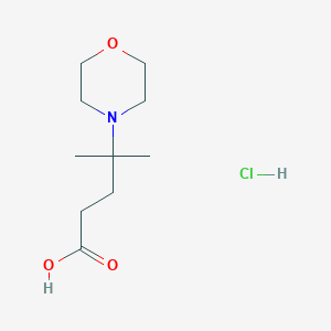 4-Methyl-4-(morpholin-4-yl)pentanoic acid hydrochloride