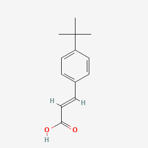molecular formula C13H16O2 B3380329 4-(Tert-butyl)cinnamic acid CAS No. 190125-60-1