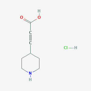 molecular formula C8H12ClNO2 B3380531 3-(Piperidin-4-yl)prop-2-ynoic acid hydrochloride CAS No. 1955530-40-1