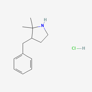 molecular formula C13H20ClN B3380532 3-Benzyl-2,2-dimethylpyrrolidine hydrochloride CAS No. 1955540-55-2