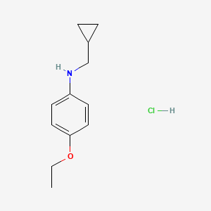 molecular formula C12H18ClNO B3380740 N-(cyclopropylmethyl)-4-ethoxyaniline hydrochloride CAS No. 2044870-84-8