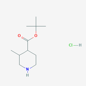 molecular formula C11H22ClNO2 B3380888 Tert-butyl 3-methylpiperidine-4-carboxylate hydrochloride CAS No. 2094929-92-5