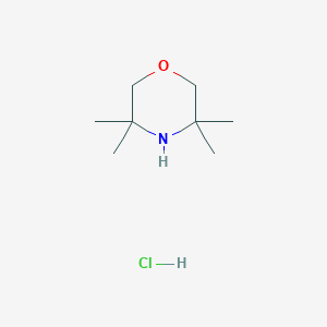 molecular formula C8H18ClNO B3381106 3,3,5,5-Tetramethylmorpholine hydrochloride CAS No. 2171815-45-3