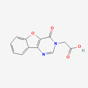 molecular formula C12H8N2O4 B3381634 (4-oxo[1]benzofuro[3,2-d]pyrimidin-3(4H)-yl)acetic acid CAS No. 257613-44-8