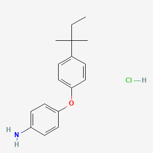 molecular formula C17H22ClNO B3381973 4-[4-(2-Methylbutan-2-yl)phenoxy]aniline hydrochloride CAS No. 291279-94-2