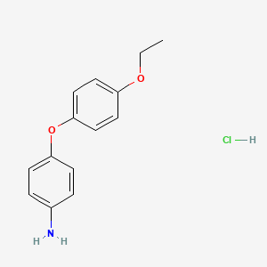 molecular formula C14H16ClNO2 B3385981 4-(4-Ethoxyphenoxy)aniline hydrochloride CAS No. 6889-04-9