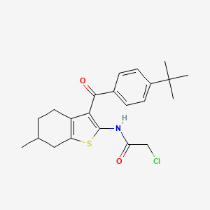 molecular formula C22H26ClNO2S B3387160 N-[3-(4-tert-butylbenzoyl)-6-methyl-4,5,6,7-tetrahydro-1-benzothiophen-2-yl]-2-chloroacetamide CAS No. 792954-17-7