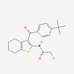 molecular formula C21H24ClNO2S B3387162 N-[3-(4-tert-butylbenzoyl)-4,5,6,7-tetrahydro-1-benzothien-2-yl]-2-chloroacetamide CAS No. 792954-19-9