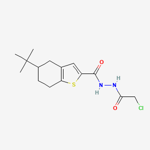 molecular formula C15H21ClN2O2S B3387223 5-tert-butyl-N'-(2-chloroacetyl)-4,5,6,7-tetrahydro-1-benzothiophene-2-carbohydrazide CAS No. 794582-32-4