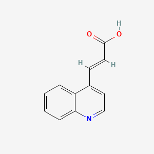 molecular formula C12H9NO2 B3387333 3-(喹啉-4-基)丙-2-烯酸 CAS No. 81124-52-9