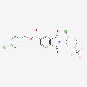 molecular formula C23H12Cl2F3NO4 B338866 4-Chlorobenzyl 2-[2-chloro-5-(trifluoromethyl)phenyl]-1,3-dioxo-5-isoindolinecarboxylate 