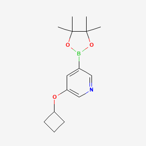 molecular formula C15H22BNO3 B3390892 3-Cyclobutoxy-5-(4,4,5,5-tetramethyl-[1,3,2]dioxaborolan-2-yl)-pyridine CAS No. 1257553-86-8