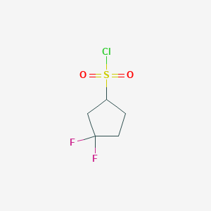 molecular formula C5H7ClF2O2S B3390946 3,3-Difluorocyclopentane-1-sulfonyl chloride CAS No. 1309433-75-7