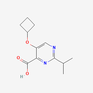 5-Cyclobutoxy-2-(propan-2-yl)pyrimidine-4-carboxylic acid