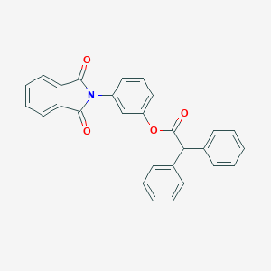 molecular formula C28H19NO4 B339623 3-(1,3-dioxo-1,3-dihydro-2H-isoindol-2-yl)phenyl diphenylacetate 