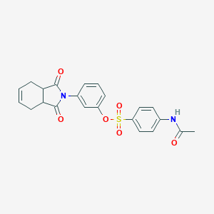 3-(1,3-dioxo-1,3,3a,4,7,7a-hexahydro-2H-isoindol-2-yl)phenyl 4-(acetylamino)benzenesulfonate