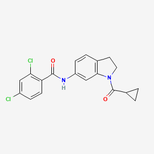 molecular formula C19H16Cl2N2O2 B3397098 2,4-dichloro-N-(1-(cyclopropanecarbonyl)indolin-6-yl)benzamide CAS No. 1021207-83-9
