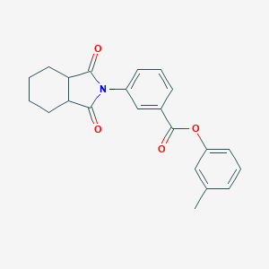 molecular formula C22H21NO4 B339774 3-methylphenyl 3-(1,3-dioxooctahydro-2H-isoindol-2-yl)benzoate 