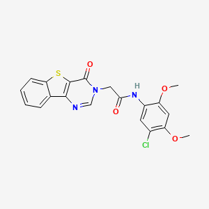 molecular formula C20H16ClN3O4S B3398139 N-(5-chloro-2,4-dimethoxyphenyl)-2-(4-oxo[1]benzothieno[3,2-d]pyrimidin-3(4H)-yl)acetamide CAS No. 1021231-20-8