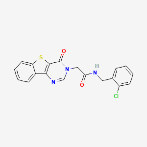 molecular formula C19H14ClN3O2S B3398145 N-(2-chlorobenzyl)-2-(4-oxo[1]benzothieno[3,2-d]pyrimidin-3(4H)-yl)acetamide CAS No. 1021231-24-2