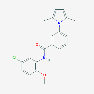 molecular formula C20H19ClN2O2 B339821 N-(5-chloro-2-methoxyphenyl)-3-(2,5-dimethyl-1H-pyrrol-1-yl)benzamide 