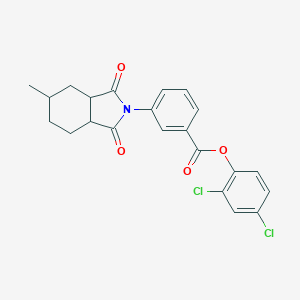 2,4-dichlorophenyl 3-(5-methyl-1,3-dioxooctahydro-2H-isoindol-2-yl)benzoate